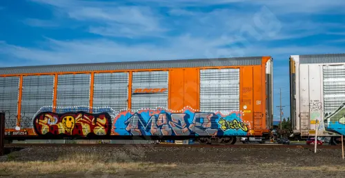 TTGX696254