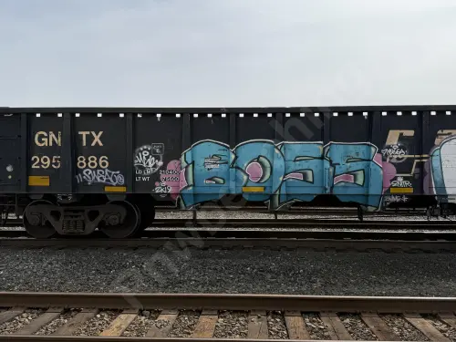 GNTX295886