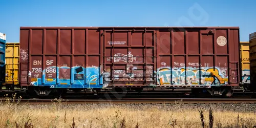 BNSF728686