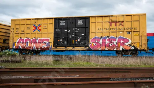 TBOX634298