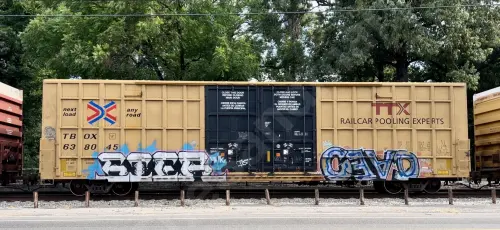 Train photo
