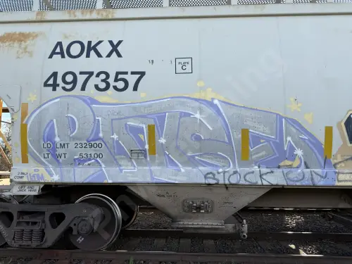AOKX497357