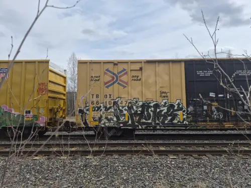TBOX661047