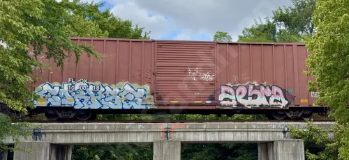 FLOX100018