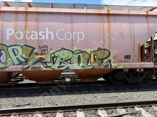 POTX1806