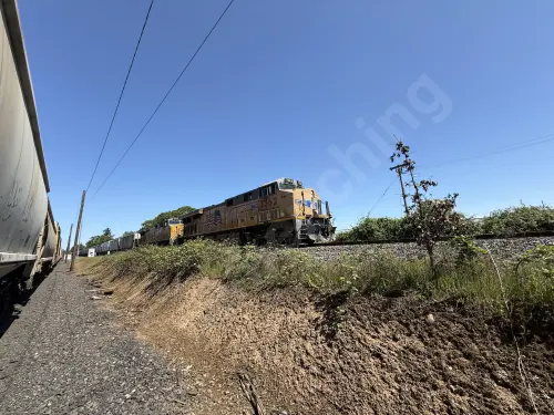 UP7362