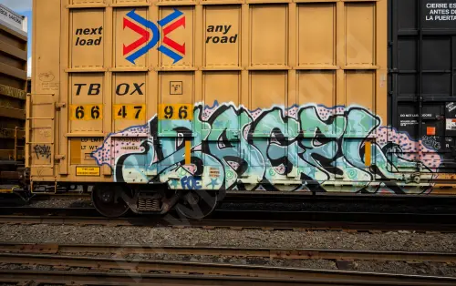 TBOX664796