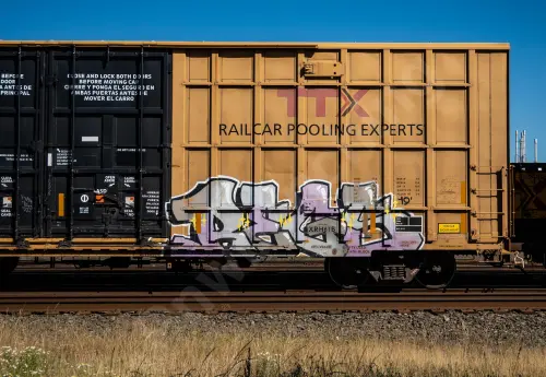 TBOX673147