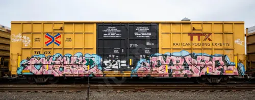 TBOX675157