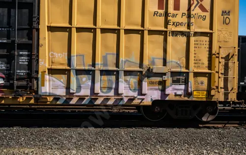 FBOX502479