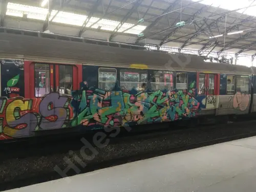 Train photo