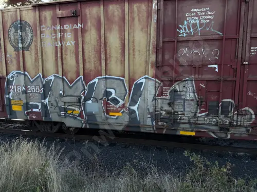 CP218265