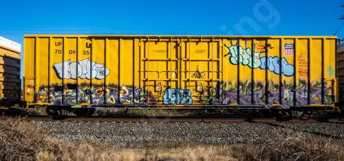 UP700935