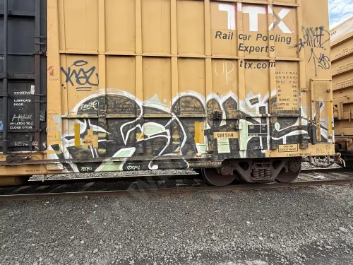 FBOX502683