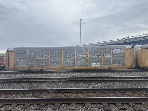 TTGX711884