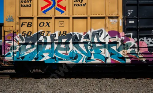 FBOX506718