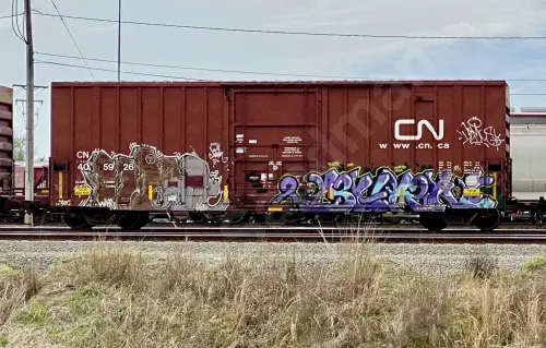 Train photo