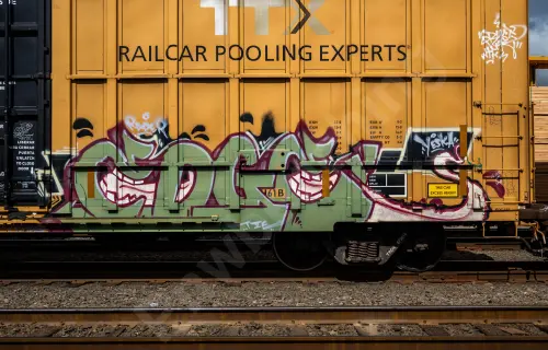 TBOX673616