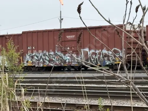 AOK473300