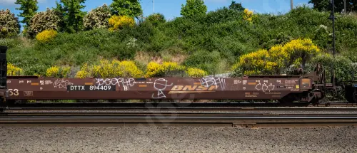 DTTX894409