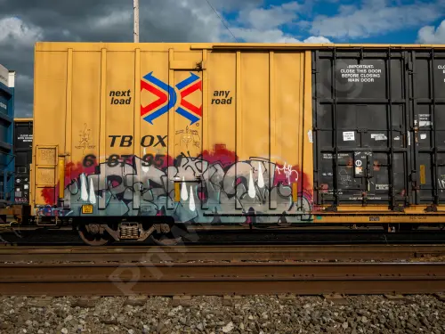 TBOX667951