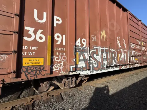 UP369149