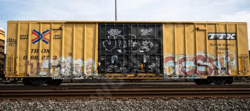 TBOX666273