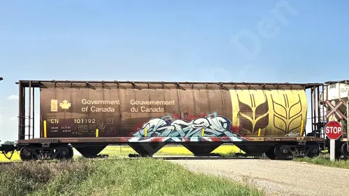 CN101192