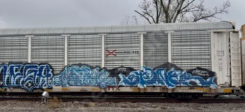 TTGX707658