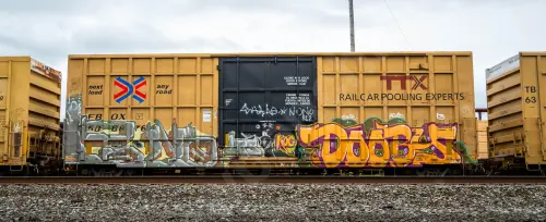 FBOX506876