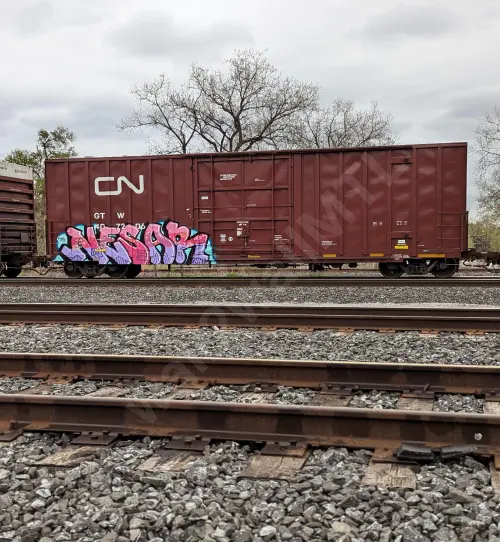 Train photo