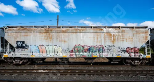 AEX13210