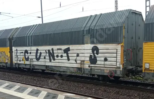 Train photo