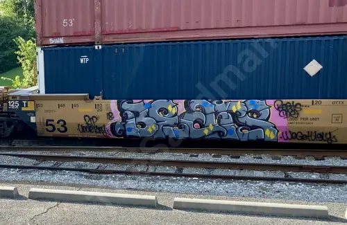 Train photo