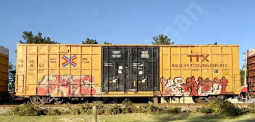 TBOX631992