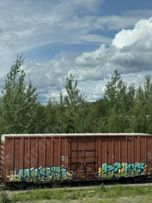 YKR20282