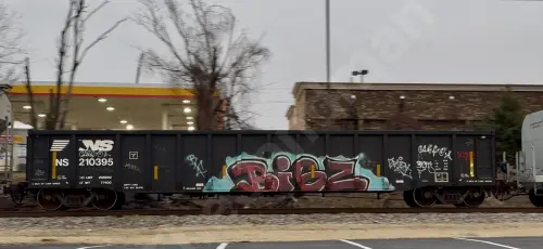 NS210395