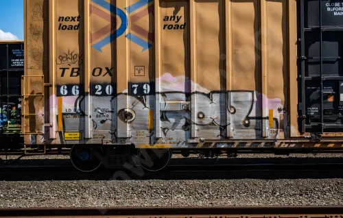 TBOX662079