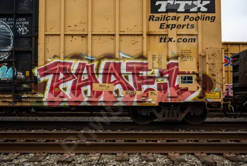 FBOX505074