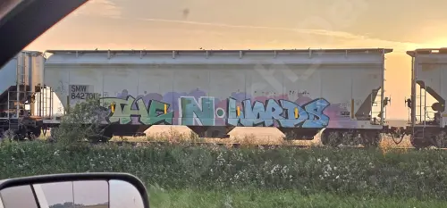 SMW842701