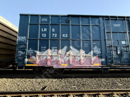 LRS137243