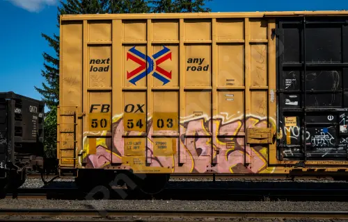 FBOX505403