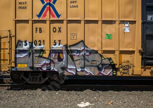 FBOX502157