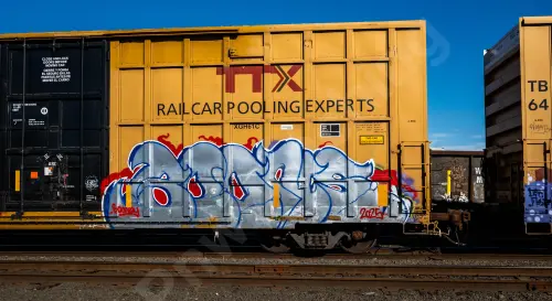 TBOX631162