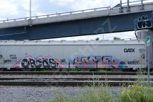 GPLX74898