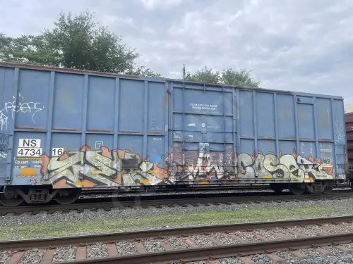NS473416