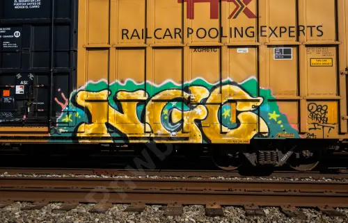 TBOX630494