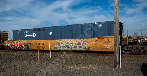 DTTX766850