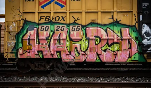 FBOX502555