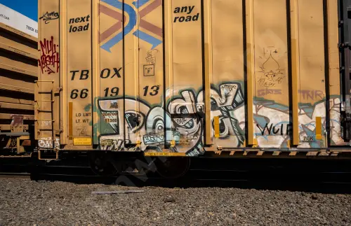 TBOX661913